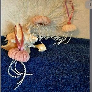 Genuine SEA URCHIN Christmas ornaments- set of 3